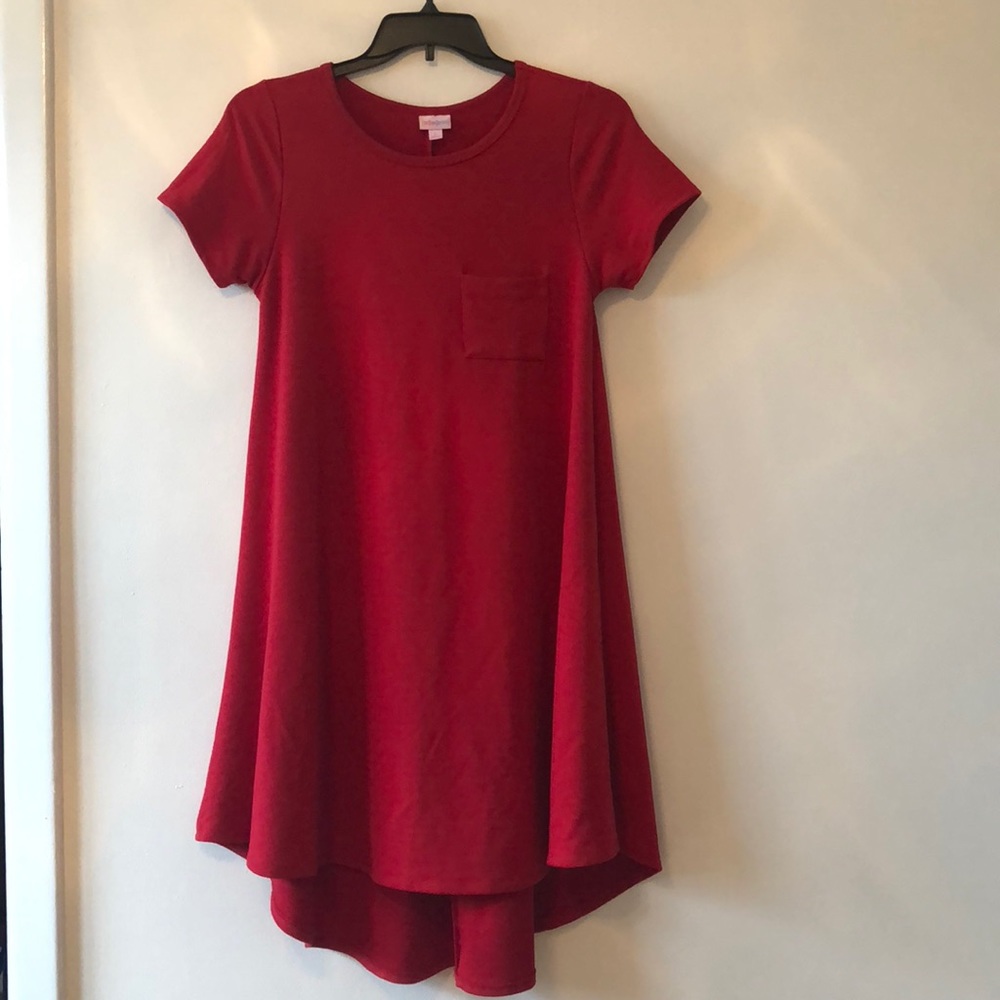 RARE “thick material” Carly Lularoe dress